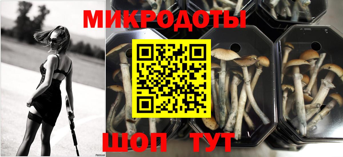 Галлюциногенные грибы Psilocybine cubensis  Вход с VPN  Карасук 